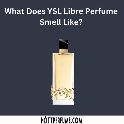 ysl cologne review|what does ysl smell like.